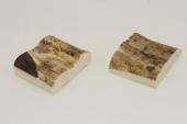 Mitres, d�fense de phacoch�re, ref:MPHACO75039
