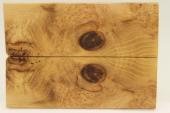 Plaquettes pour la coutellerie, Loupe d'acacia, ref:PLpAc75101