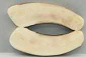Plaquettes pour la coutellerie, d�fense de phacoch�re, ref:PPHACO75110