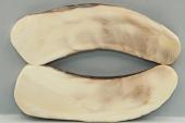 Plaquettes pour la coutellerie, d�fense de phacoch�re, ref:PPHACO75111