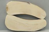 Plaquettes pour la coutellerie, d�fense de phacoch�re, ref:PPHACO75112