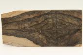 Plaquettes pour la coutellerie, Ziricote, ref:PZI75284