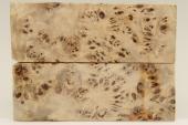 Plaquettes pour la coutellerie, Loupe de Peuplier stabilis&eacute; naturel, ref:PLpPEs75431na
