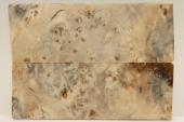 Plaquettes pour la coutellerie, Loupe de Peuplier stabilis&eacute; naturel, ref:PLpPEs75432na