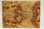 Plaquettes pour la coutellerie, Loupe de Peuplier stabilis� naturel, ref:PLpPEs75434na