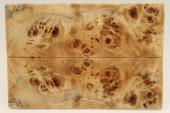 Plaquettes pour la coutellerie, Loupe de Peuplier stabilis� naturel, ref:PLpPEs75866na