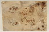 Plaquettes pour la coutellerie, Loupe de Peuplier stabilis&eacute; naturel, ref:PLpPEs75866na