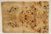 Plaquettes pour la coutellerie, Loupe de Peuplier stabilis� naturel, ref:PLpPEs75868na