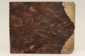 Plaquettes , Pal. du Honduras (D. stevensonii Cites E-03032/16 du 10/06/2016), ref:PPalH75920