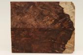 Plaquettes , Pal. du Honduras (D. stevensonii Cites E-03032/16 du 10/06/2016), ref:PPalH75920