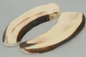 Plaquettes pour la coutellerie, d&eacute;fense de phacoch&egrave;re, ref:PPHACO75963