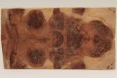 Plaquettes pour la coutellerie, loupe de Red mall�e, ref:PLpRM75978