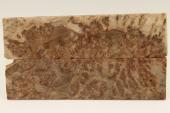 Plaquettes pour la coutellerie, loupe de Goldfield, ref:PLpG75984