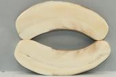 Plaquettes pour la coutellerie, d�fense de phacoch�re, ref:PPHACO76020
