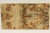 Plaquettes pour la coutellerie, Loupe de Peuplier stabilis� naturel, ref:PLpPEs76120na