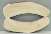 Plaquettes pour la coutellerie, d�fense de phacoch�re, ref:PPHACO76128