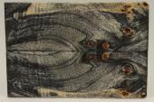 Plaquettes pour la coutellerie, Loupe de Peuplier stabilis�e noire, ref:PLpPEs76229nr