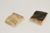 Mitres, d�fense de phacoch�re, ref:MPHACO76431