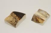 Mitres, d�fense de phacoch�re, ref:MPHACO76433