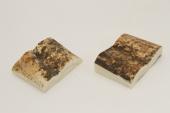 Mitres, d�fense de phacoch�re, ref:MPHACO76434
