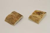 Mitres, d�fense de phacoch�re, ref:MPHACO76435
