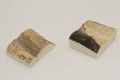 Mitres, d�fense de phacoch�re, ref:MPHACO76438