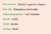 A-Origine