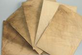 Feuille de placage, loupe de Laurel claire, ref:FLpLau7689