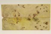 Plaquettes pour la coutellerie, Loupe de Peuplier stabilisé jaune, ref:PLpPEs38580j